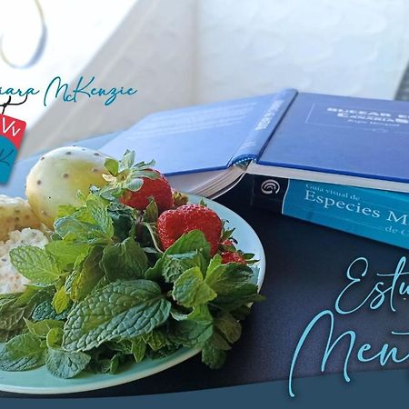 Estudio Menta تاكورونتي المظهر الخارجي الصورة